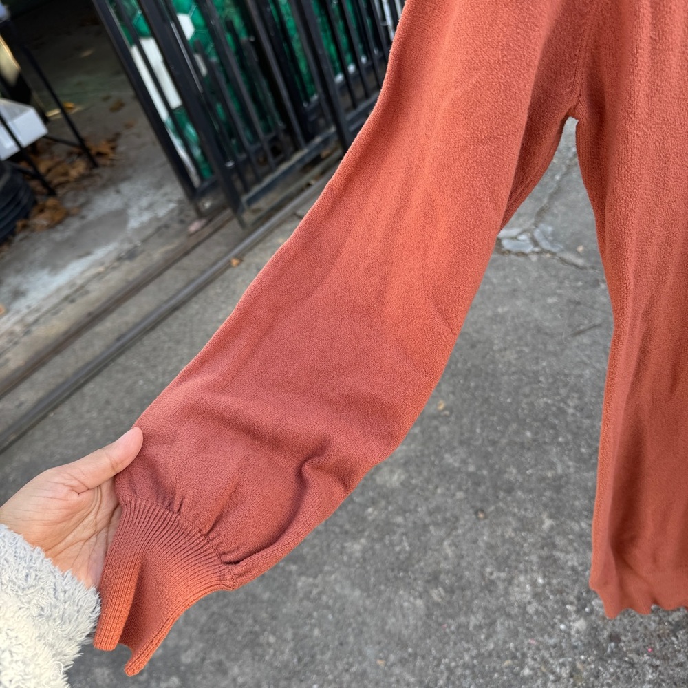 Rust Orange Turtleneck Sweater Dress - Picture 4 of 4